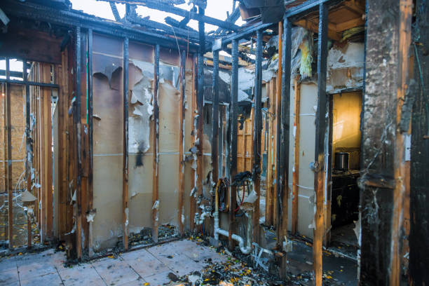 Professional Smoke Damage Removal technician working in Derwood, MD