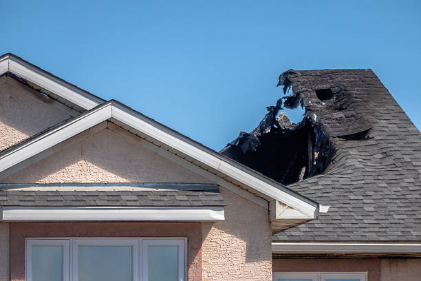 Top rated local Smoke Damage Removal specialists in Derwood, MD